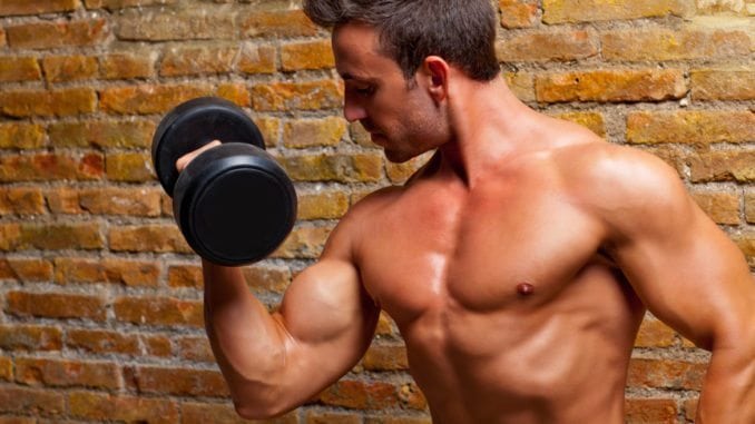 body building lifting weights at gum