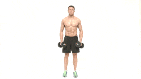 Lateral raises Lateral raises